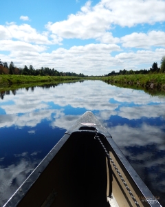 Canoeing Tomah Stream