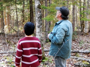 Dennis and Alexander checking out the goshawk nest