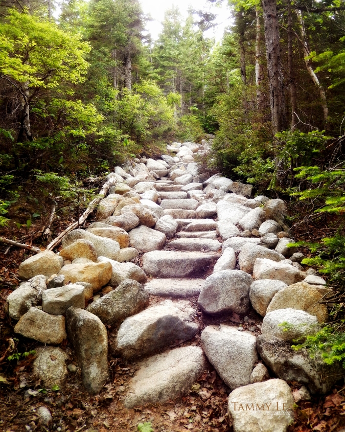 Rocky stairs on the trail to Chimney Pond